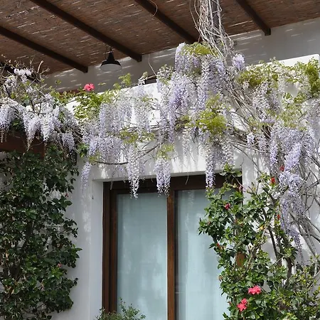 La Terrazza Sul Mare Di Teodora
