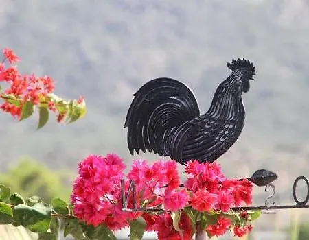 Appartamento La Terrazza Sul Mare Di Teodora